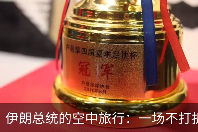 伊朗总统的空中旅行：一场不打折扣的外交秀